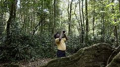 Kakamega: Kenya's last rainforest