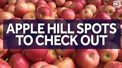 Apple Hill Farms In California You Should Check Out This Fall