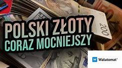 Polski złoty coraz mocniejszy w stosunku do dolara. Czy RPP umocni polską walutę?