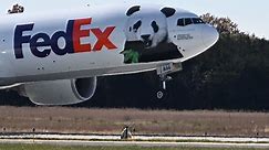 ‘Never been a shipment of this magnitude’: National Zoo’s giant pandas take off for long journey to China - WTOP News