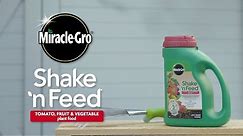 How to Use Miracle-Gro® Shake® 'n Feed Tomato, Fruit & Vegetable Plant Food