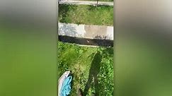 Woman Rescues Fawn Trapped In Drain Culvert | Wild-ish TV