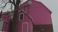 Finding Minnesota: McLeod County's farm is pretty in pink