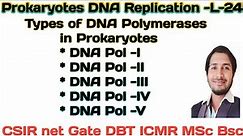 Prokaryotic DNA Replication-L-24 Types of DNA Polymerases #csir DNA replication #DNA Polymerases