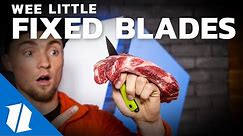 Ultimate Small Fixed Blade Test & Comparison | Week One Wednesday | Live