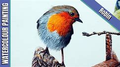 Robin in Watercolour with Paul Hopkinson