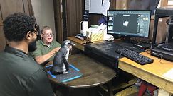 Disabled Penguin Gets Leg Up With 3D-Printed Shoes!