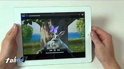First problems with the new Apple iPad 3 (3rd Gen)