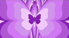 Purple Butterfly Background Screensaver Loop 1 Hour 1080p HD