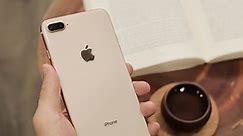 iPhone 8 | 8 Plus Cũ Mới Chính hãng, Giá rẻ nhất, Trả góp 0%