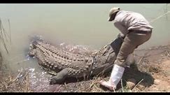 23 Scariest Crocodile Encounters So Far in 2023