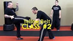Beginner Krav Maga - Yellow Belt/Level 1 - Class #2 (Warm Up, Drills, Stretching)