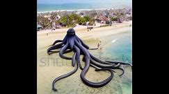 A Giant Octopus terrorizing the beach