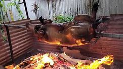 PNG Pig Roast