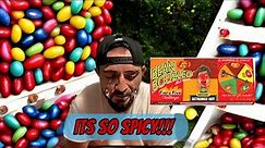 TRYING BEAN BOOZLED JELLY BEANS (SPICY EDITION)