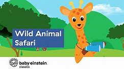 Baby Einstein Classics Season 1 Episode 6 - Wild Animal Safari