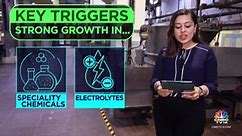 Ami Organics' Naresh Patel On Growth Outlook, Electrolyte & Semiconductor Opportunities | Inside Out