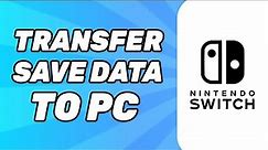How to Transfer Switch Save Data to PC (2023)