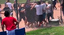 Video shows adults brawling at kids' baseball game