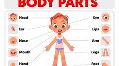 Body parts are named in English. English vocabulary