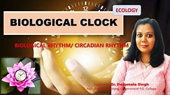 Biological Clock /Biological Rhythm//Circadian rhythm