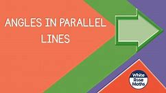 Spr9.4.1 - Angles in parallel lines