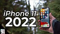 iPhone 11 in 2022 - worth buying? (Review)
