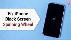 Top 2 Ways to Fix iPhone Spinning Wheel Black Screen Stuck without Data Loss iOS 13