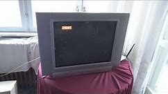 Philips 21PT5307/60 21" Real Flat Stereo TV Television Receiver Review