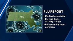 Flu report: Influenza B strain most common in Massachusetts