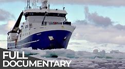 Expedition Antarctica | Free Documentary