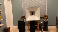 Comparing Regular Floorstanding Speaker to BG Neo8 Horn