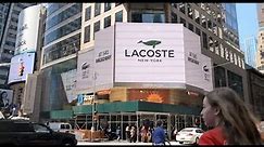 Lacoste - Crocodile Free (case study)