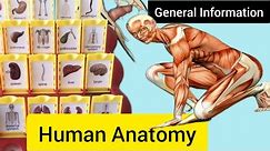 General information of human body ||human anatomy and physiology