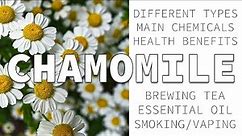 Chamomile Herbalism - Azulenes, Health Benefits, & Uses