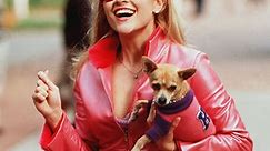 We've Uncovered Every Secret About Legally Blonde—What? Like It's Hard?