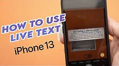 iPhone 13 & 13 Mini : How to Use Live Text