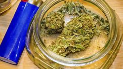 Landmark marijuana report