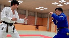 【Karate vs Jiu-Jitsu】What will happen? Let's verify!