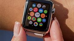 How many Apple Watches did Apple really sell last quarter?