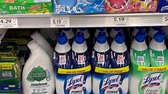 MUST HAVE HOUSEHOLD CLEANING SUPPLIES 🧹🧼🧽 FROM PUBLIX | Peach McIntyre