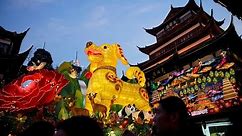 Chinese New Year: What is the Year of the Dog?