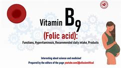 Vitamin B9 (folic acid): Functions, Hypovitaminosis, Recommended Daily Intake, Products