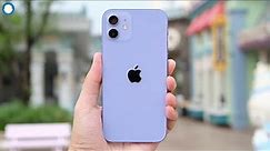 Iphone 12 Purple vs Iphone 11 Purple - Which To Buy?