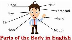 Parts of the Body in English | Human Body Parts Names | Learn English Vocabulary |#partsofthebody