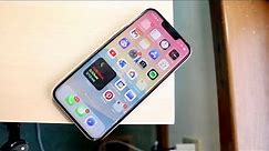 iPhone 13 Pro In LATE 2023! (Review)