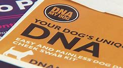 I-Team: In second test, DNA testing company links dog breed to human sample