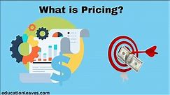 What is Pricing in marketing? | Pricing strategies