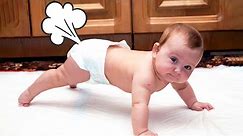 Try Not To Laugh with Funny Baby Fart Moments - Cute Baby Videos