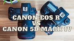 Canon EOS R vs Canon 5D Mark IV - Which is Better?